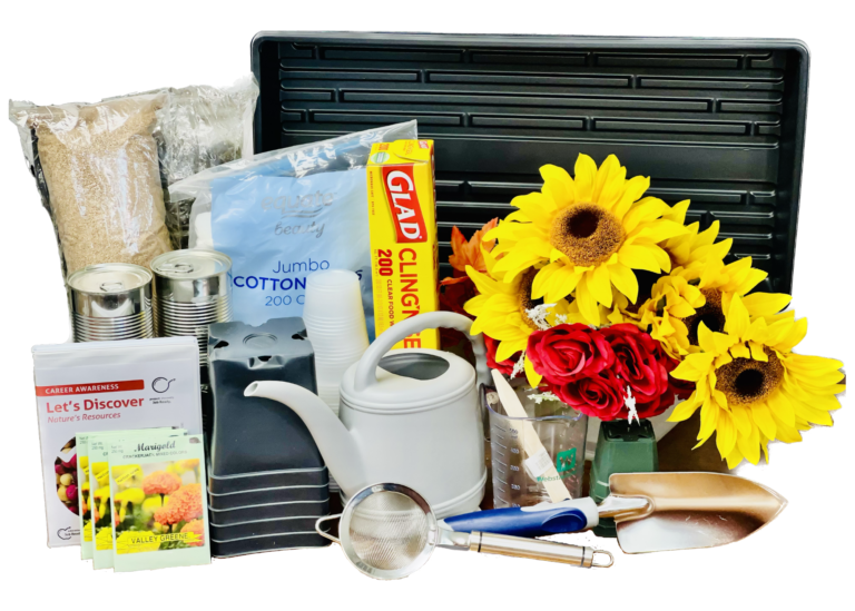 Let's Discover Nature's Resources